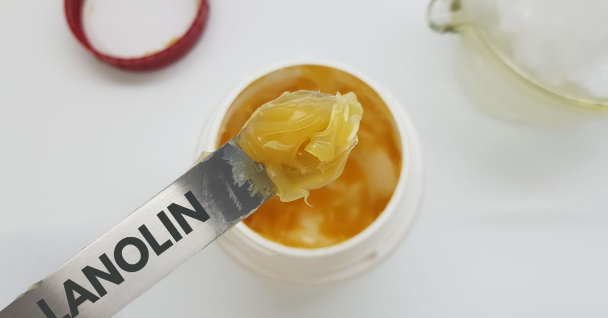 Is Lanolin Vegan? What Is Lanolin Made Of?